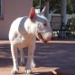 Ahhhh... un intrusooo... pero que guapooooooo!!!!!